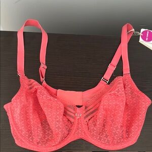 Freya Viva Lace Underwire Bra in Coral Pink
